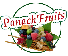 Panach fruit producteur de fruit rouge en vendée